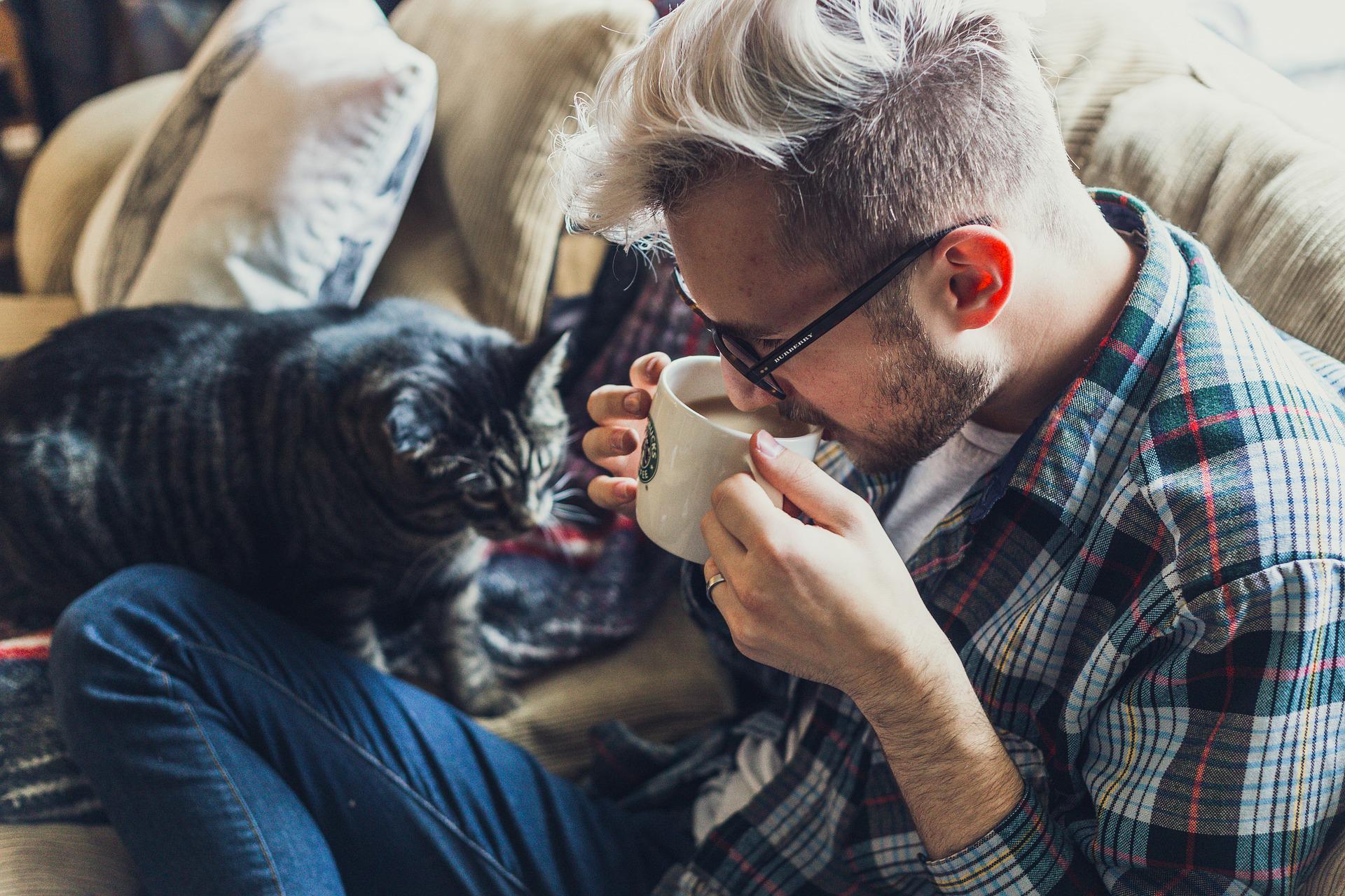 Leia mais sobre o artigo Cat café: conheça os estabelecimentos para amantes de cafés e gatos