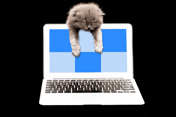 Home office gif de um gatinho em cima de um computador