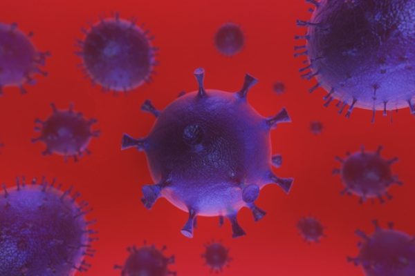 Além de respeitar as medidas sugeridas pela OMS para controlar a pandemia do Covid-19, é necessário também combater a desinformação e saber em quais fontes podemos confiar